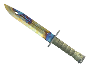 ★ Bayonet | Case Hardened (Well-Worn)