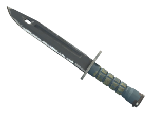 ★ Bayonet | Night (Well-Worn)