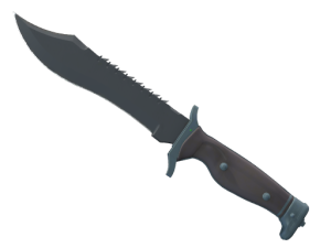 ★ Bowie Knife | Night (Factory New)