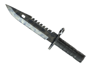 ★ M9 Bayonet | Stained (Field-Tested)