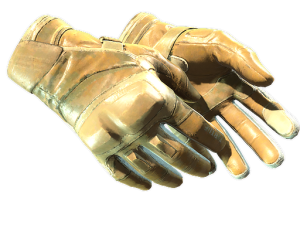 ★ Moto Gloves | Transport (Field-Tested)