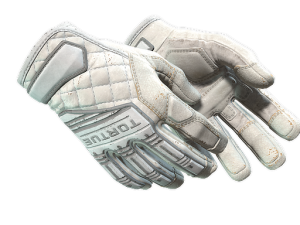 ★ Specialist Gloves | Pillow Punchers (Well-Worn)