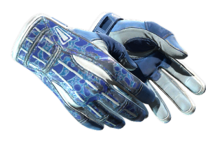 ★ Sport Gloves | Amphibious (Field-Tested)