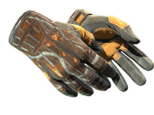 ★ Sport Gloves | Big Game (Well-Worn)