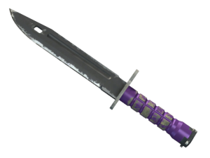 ★ StatTrak™ Bayonet | Ultraviolet (Field-Tested)